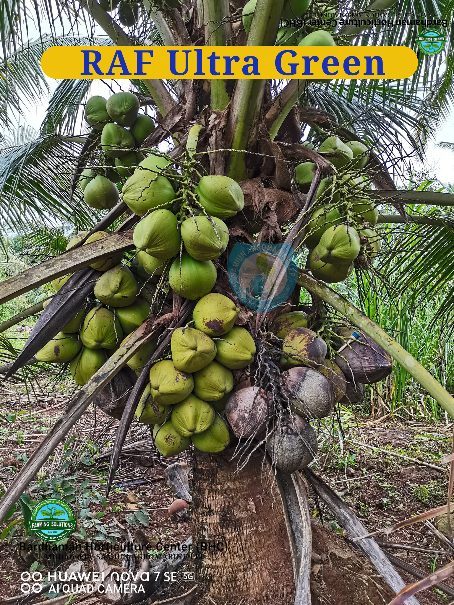 High-Density Farming