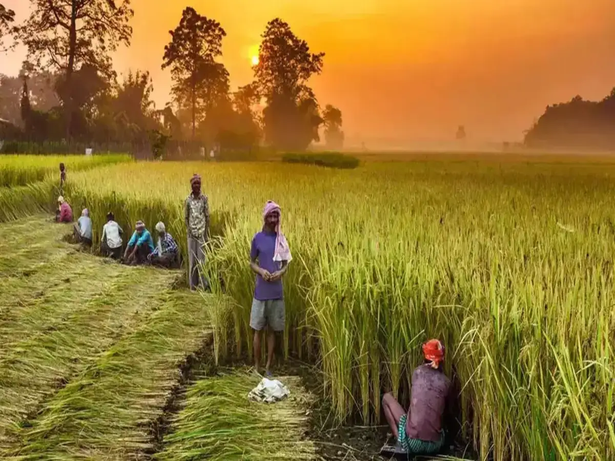 Success Story: From Farmer to Business Owner